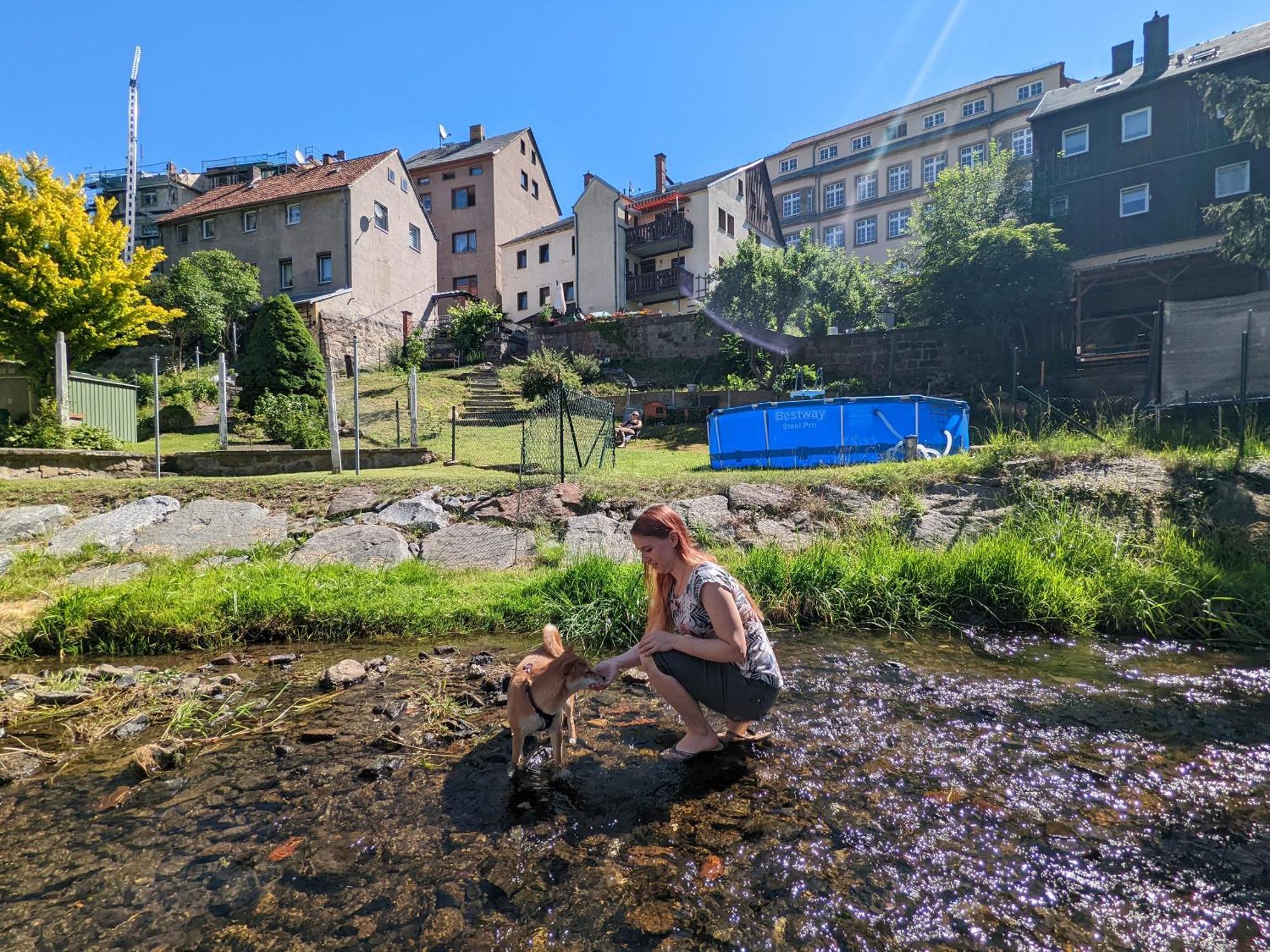 Urlaubsmagie - Sauna&Whirlpool Zum Entspannen - Hw1 Sebnitz Exterior foto